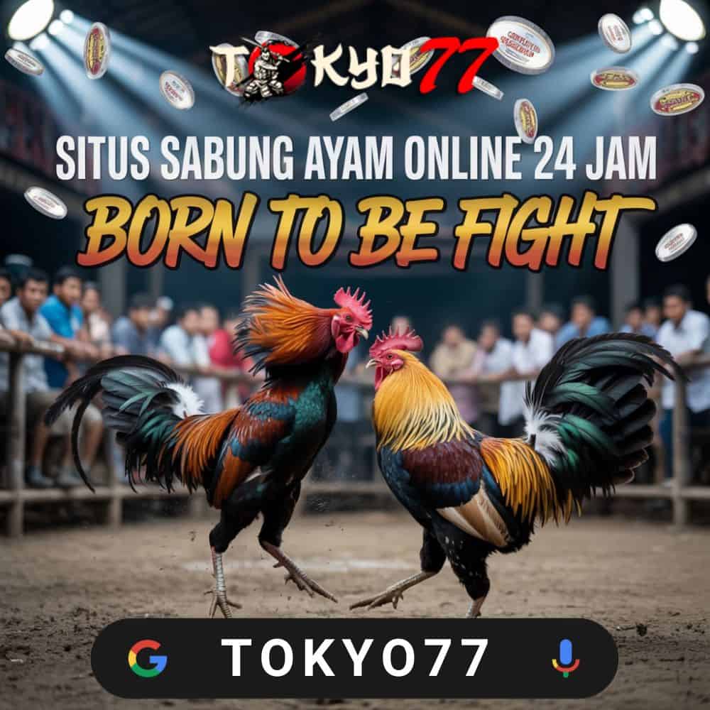 The Power of Slot777: Where Every Spin Feels Rewarding